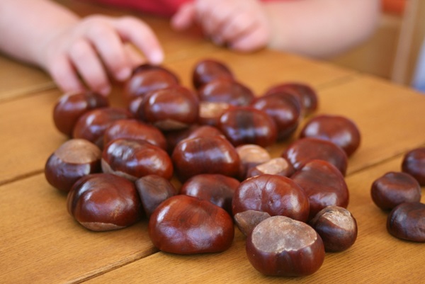 Ambachten van kastanjes op het thema van de herfst