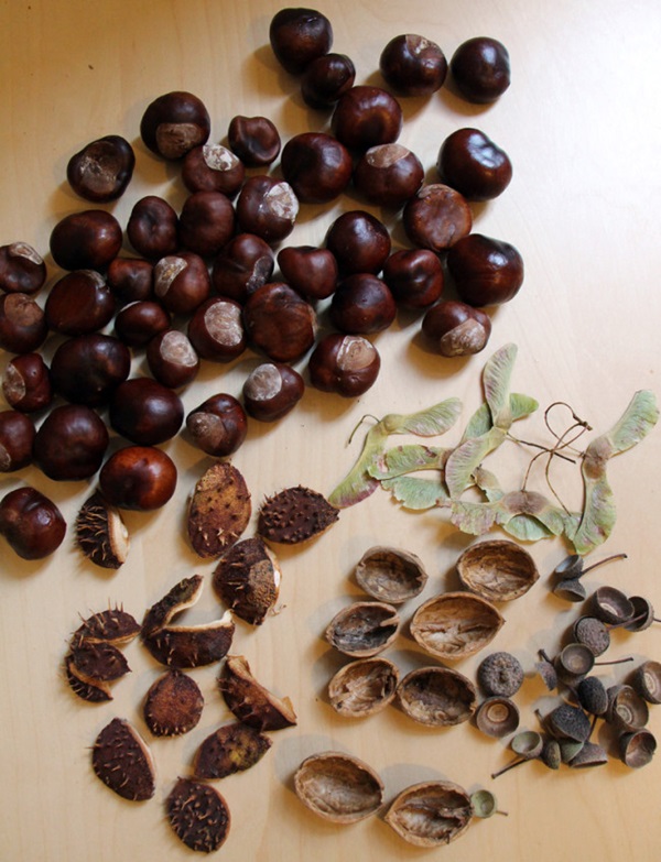 Ambachten van kastanjes op het thema van de herfst