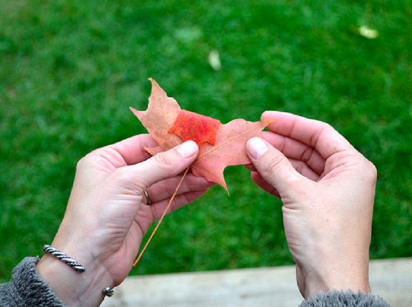 Ambachten van bladeren op het thema "Herfst" met hun eigen handen voor schoolkinderen