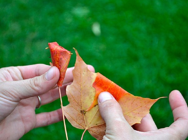 Ambachten van bladeren op het thema "Herfst" met hun eigen handen voor schoolkinderen