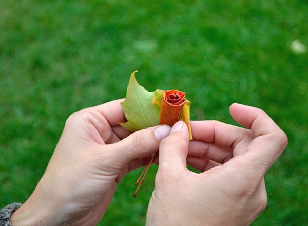 Ambachten van bladeren op het thema "Herfst" met hun eigen handen voor schoolkinderen