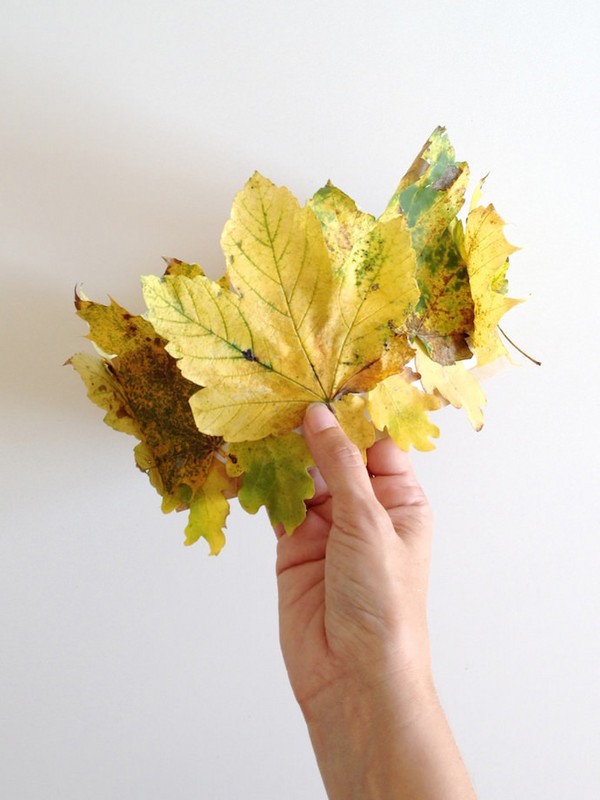 Ambachten van bladeren op het thema "Herfst" met hun eigen handen voor schoolkinderen