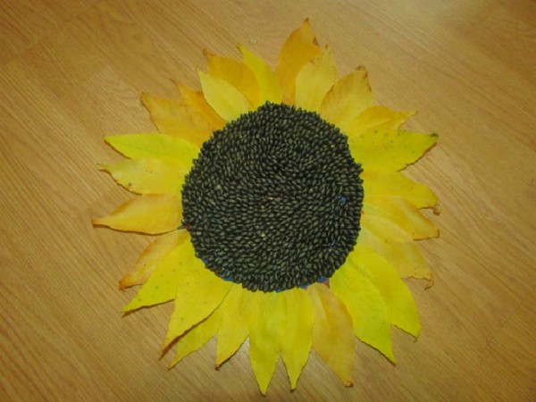 Ambachten van bladeren op het thema "Herfst" met hun eigen handen voor schoolkinderen