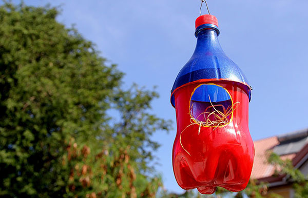 Nieuwe ambachten van plastic flessen met hun eigen handen voor tuin en boomgaard