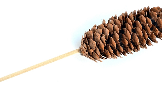 Ambachten gemaakt van natuurlijk materiaal: mini-hout met eigen handen