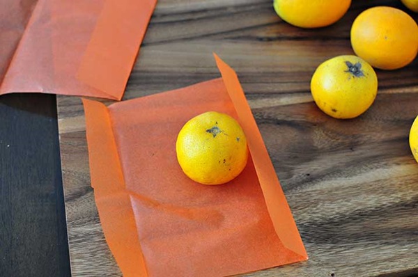 Ambachten voor kinderen op Halloween