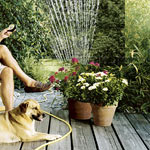 De tuin water geven De tuin water geven