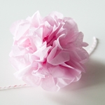 Hoe maak je pom-poms van papier