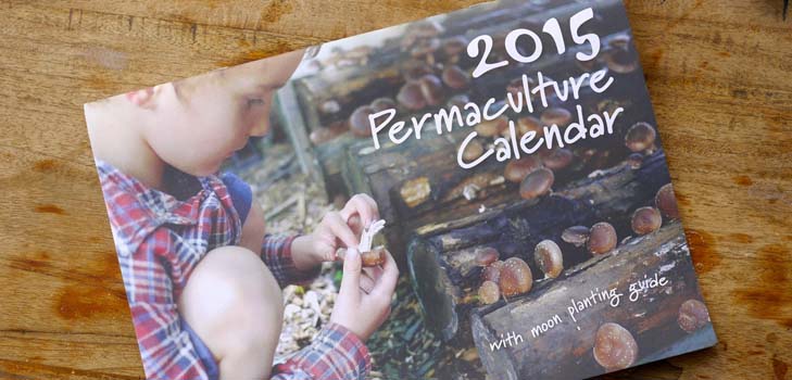Zaaien kalender 2015: we zijn van plan van januari tot december te werken