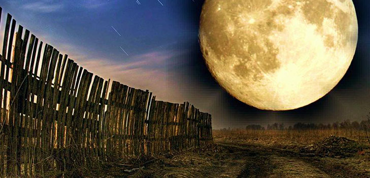Lunar Seed Calendar voor april 2017