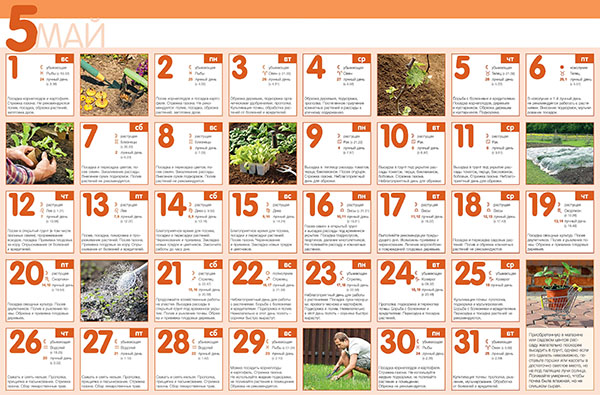 Zaaikalender voor mei 2017 - voor een hovenier, tuinman, bloemenkweker - maan voor fasen, in de tabel