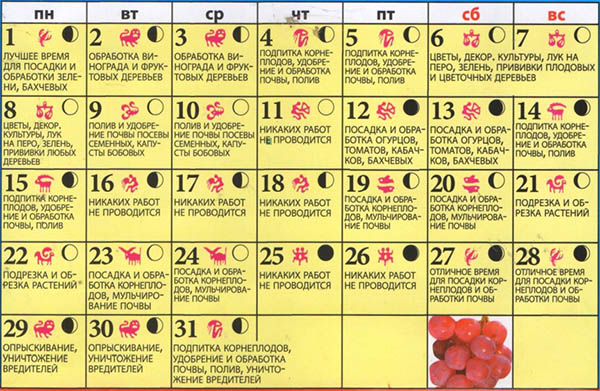 Lunar Seed Calendar voor mei 2017