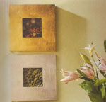 Frames voor foto's met een furnish uit een folie