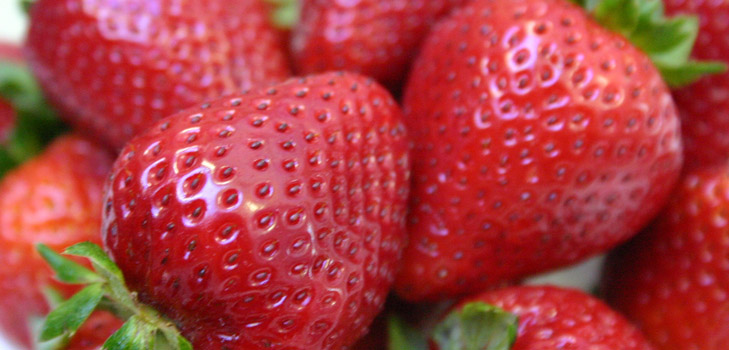 Zaailingen van Aardbeien en Aardbeien