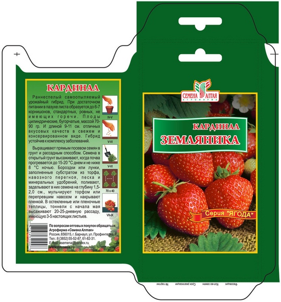 Zaailingen van Aardbeien en Aardbeien