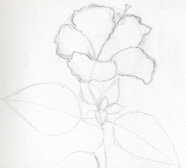 Figuurbloem