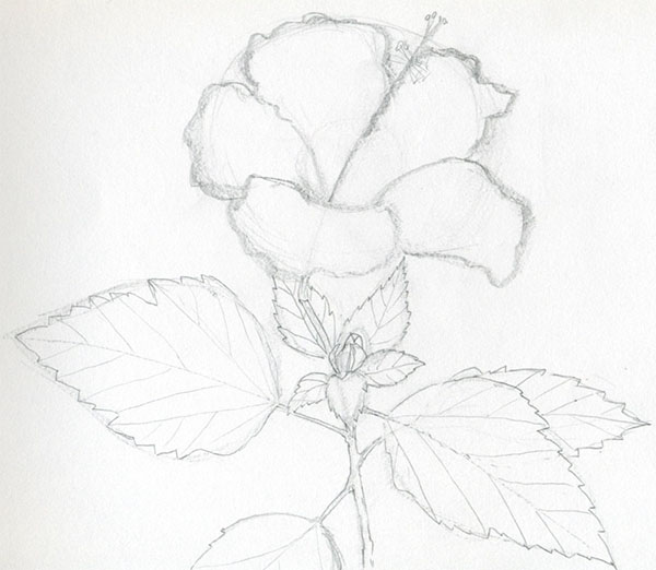 Figuurbloem