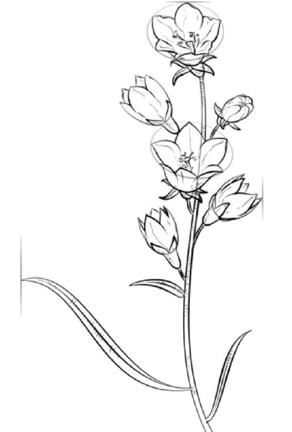 Figuurbloem