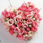 Hart van rozen op 14 februari