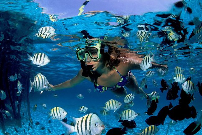 snorkelen snorkelen