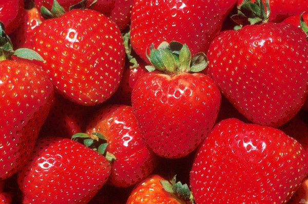 De beste aardbeien - beschrijving, functies, foto
