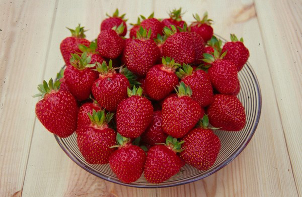 De beste aardbeien - beschrijving, functies, foto