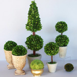 Zorg voor topiary Zorg voor topiary