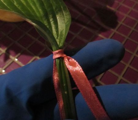 Krans van bloemen voor de bruiloft met hun eigen handen