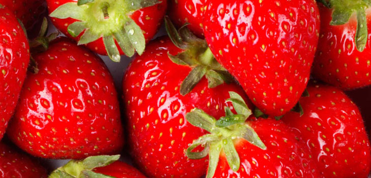 Verbouw aardbeien en aardbeien op de vensterbank