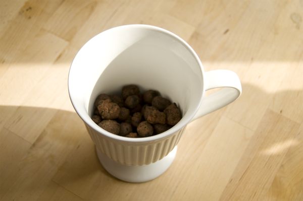 Teelt van rucola in huisomstandigheden