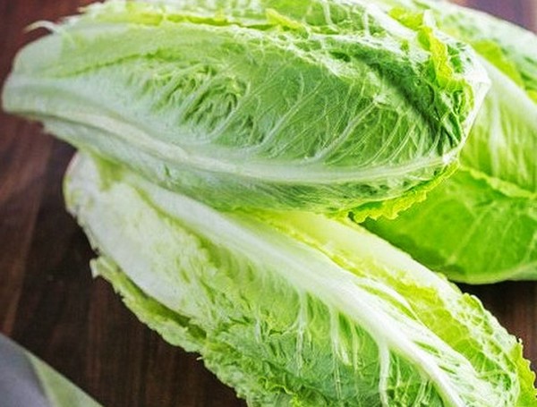 Salade kweken in theorie en praktijk, nuttige adviezen en aanbevelingen