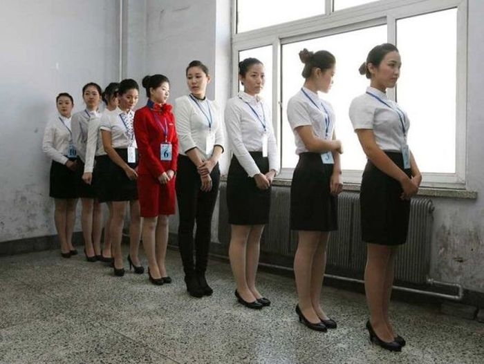 Hoe word je een stewardess?