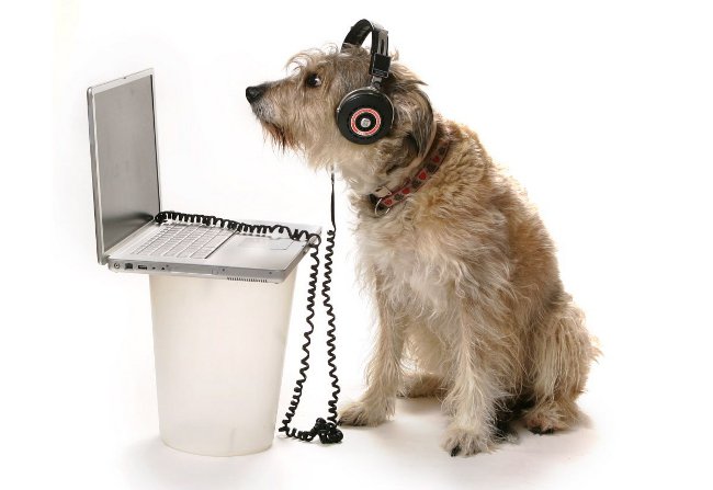Hoe een internetradio maken