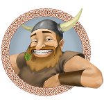 Programma voor promotie van groepen VKontakte: Viking Botvodov