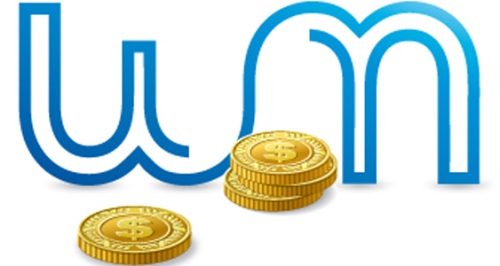 Hoe Webmoney aan te vullen
