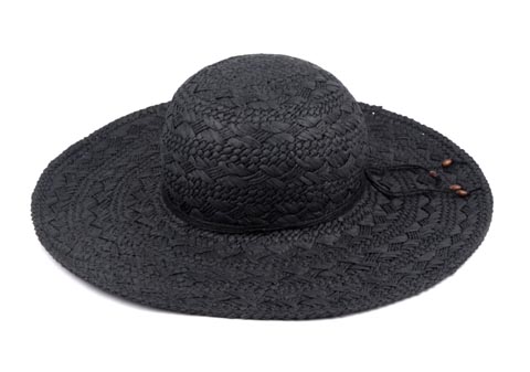 Case in a Hat