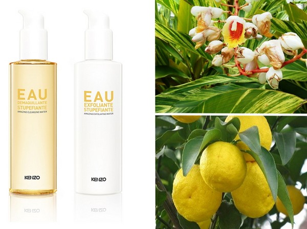Aziatische duo: Kenzoki Ginger Flower-serie voor volledige huidreiniging