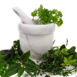 Home cosmetica: infusies, afkooksels, tincturen Home cosmetica: infusies, afkooksels, tincturen