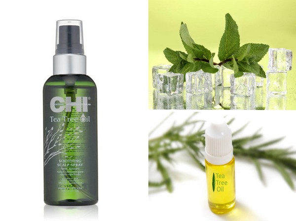 Summer moisturizing: een collectie haarverzorging SHI Tea Tree Oil