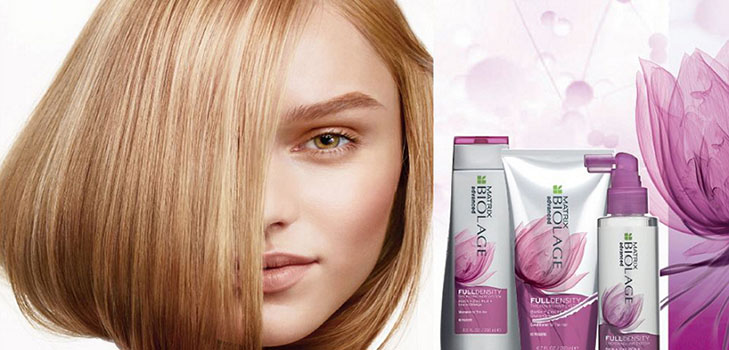 Knowhow voor levenloos haar: nieuwe items Matrix Full Density