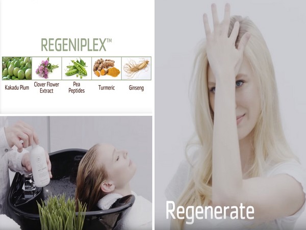 Haarsterkte van wortels tot tips: Paul Mitchell Tea Tree Scalp Care serie