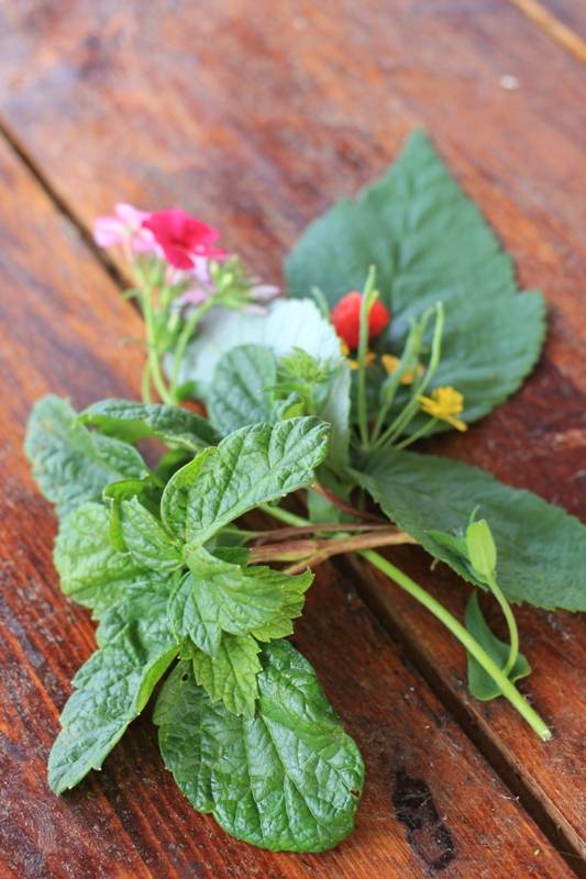 Behandeling van atherosclerose met folk remedies