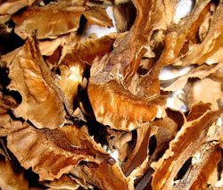 Behandeling van ziekten van de heupgewricht folk remedies