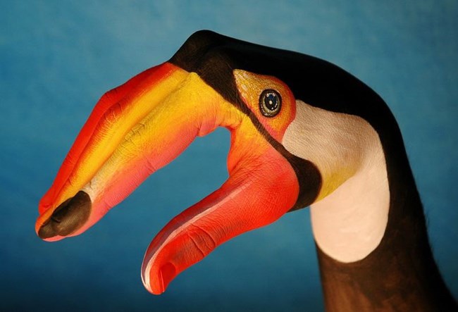 De hand is geschilderd onder een vogel