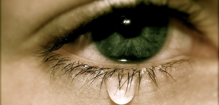close-up oog