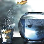 Comfort Zone: hoe kan dit worden uitgebreid?