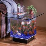 Aquarium met eigen handen Aquarium met eigen handen