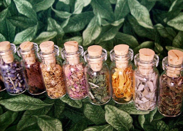 Deze planten zullen u en uw huis tegen het boze oog beschermen: plantaardige amuletten tegen bederf