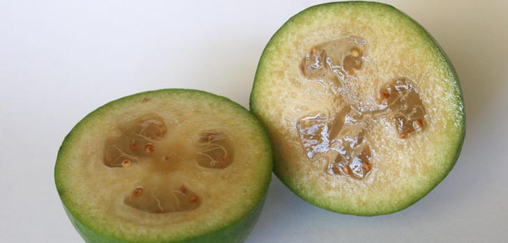 Feijoa - nuttige eigenschappen, voordelen en nadelen van feijoa