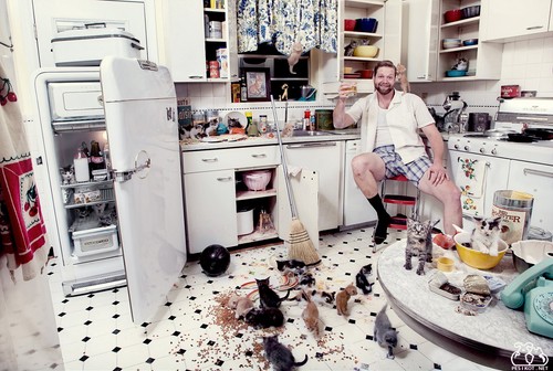 Hoe voor eens en altijd de rotzooi in de keuken weggewerkt te worden: 5 stappen naar netheid en comfort